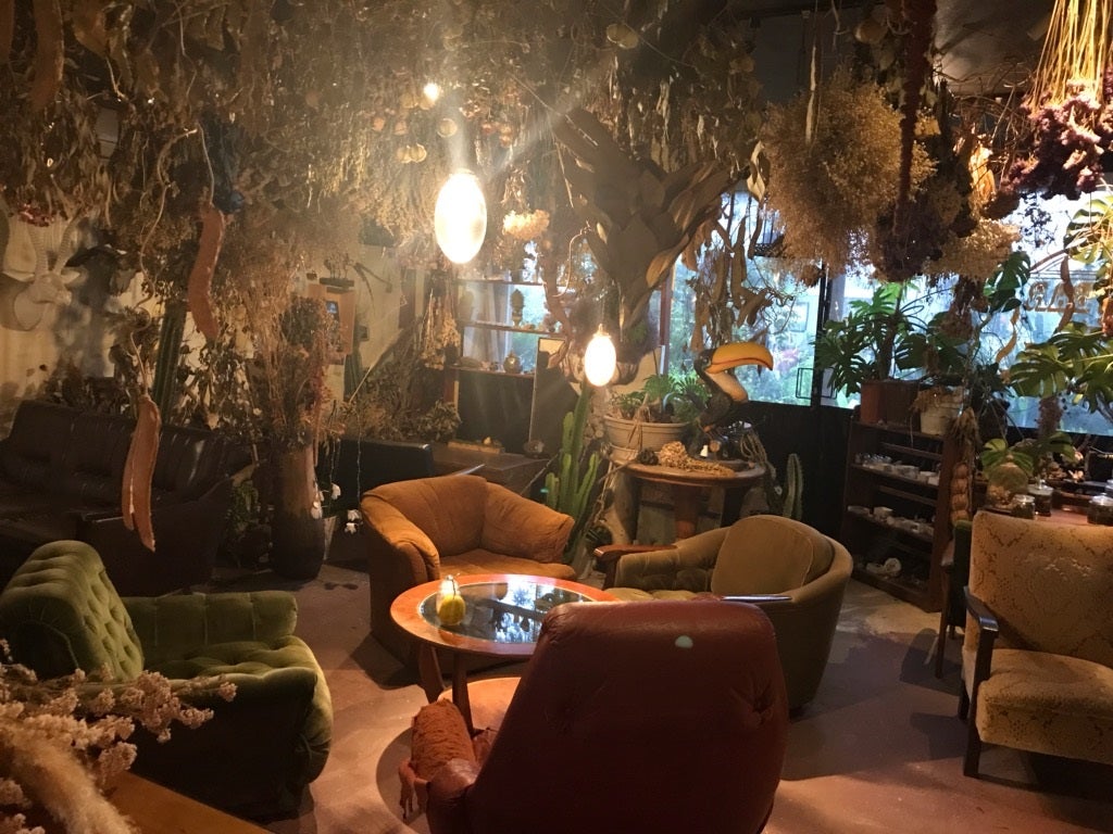 オシャレな秘密基地植物園とカフェバーの店内風景（提供元：秘密基地植物園とカフェバー）