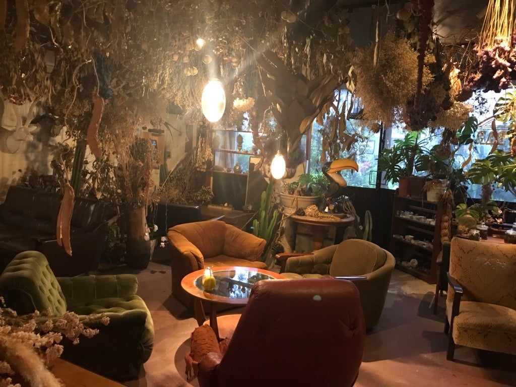 オシャレな秘密基地植物園とカフェバーの店内風景（提供元：秘密基地植物園とカフェバー）
