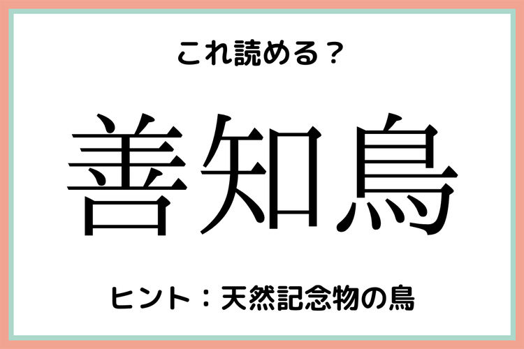 善知鳥 って何 読めたらスゴイ 鳥の難読漢字 4選 モデルプレス 善知鳥 って何 読めたらスゴイ 鳥の難読漢字 4選 モデルプレス