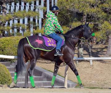 ルガルはドバイを4日出発の便で帰国予定 杉山晴師「（次走は）様子を見て」