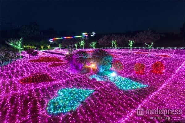 「グランイルミ」／画像提供：夜景観光コンベンション・ビューロー