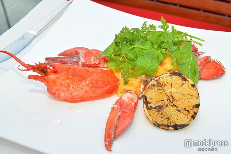 シェフの特製料理は味も見た目も格別／情報提供：Red Sky