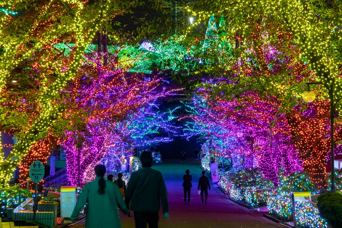 よみうりランド ジュエルミネーション（昨年の様子）／画像提供：よみうりランド