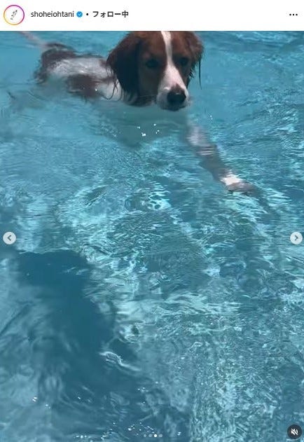 大谷翔平選手Instagramより