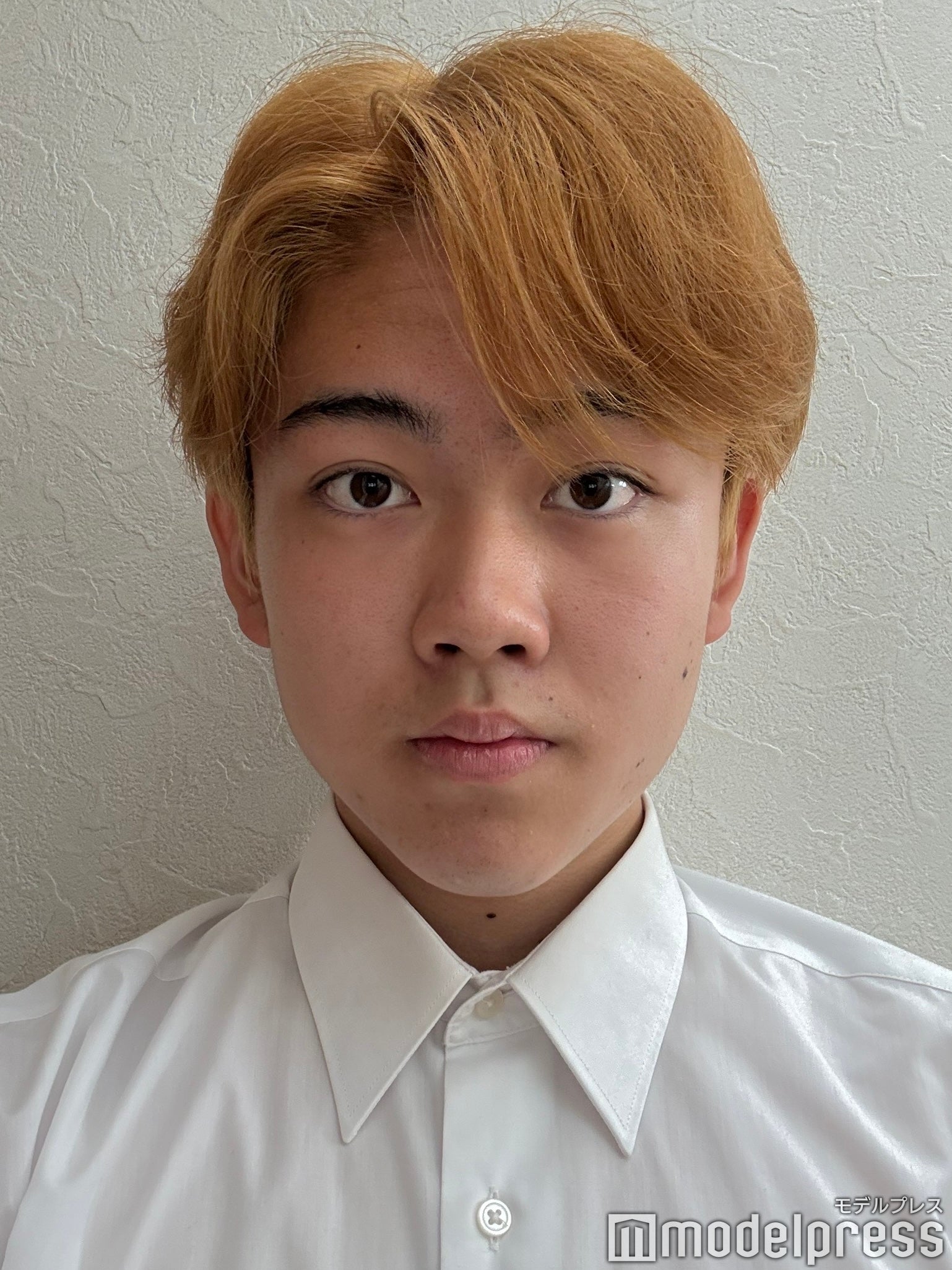 北海道・東北エリア候補者