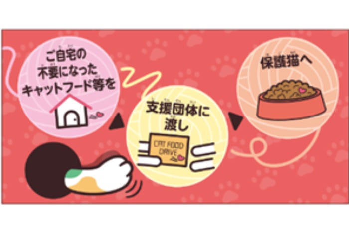 キャットフードドライブ/提供画像