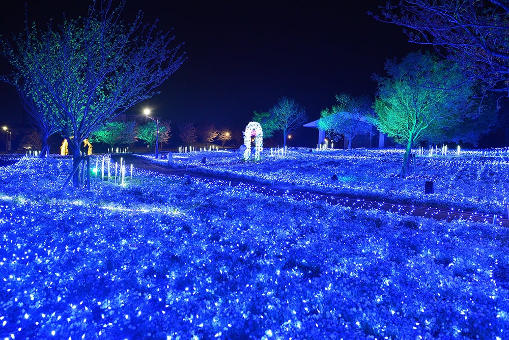 花と光のムーブメント／提供画像