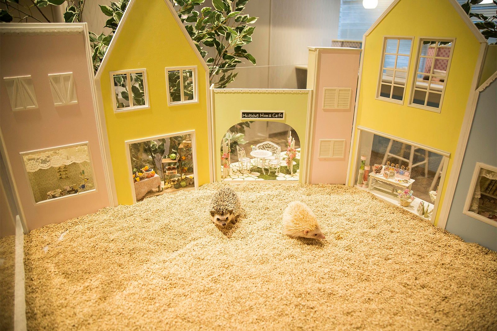 ちくちくCAFE／画像提供：飼育係