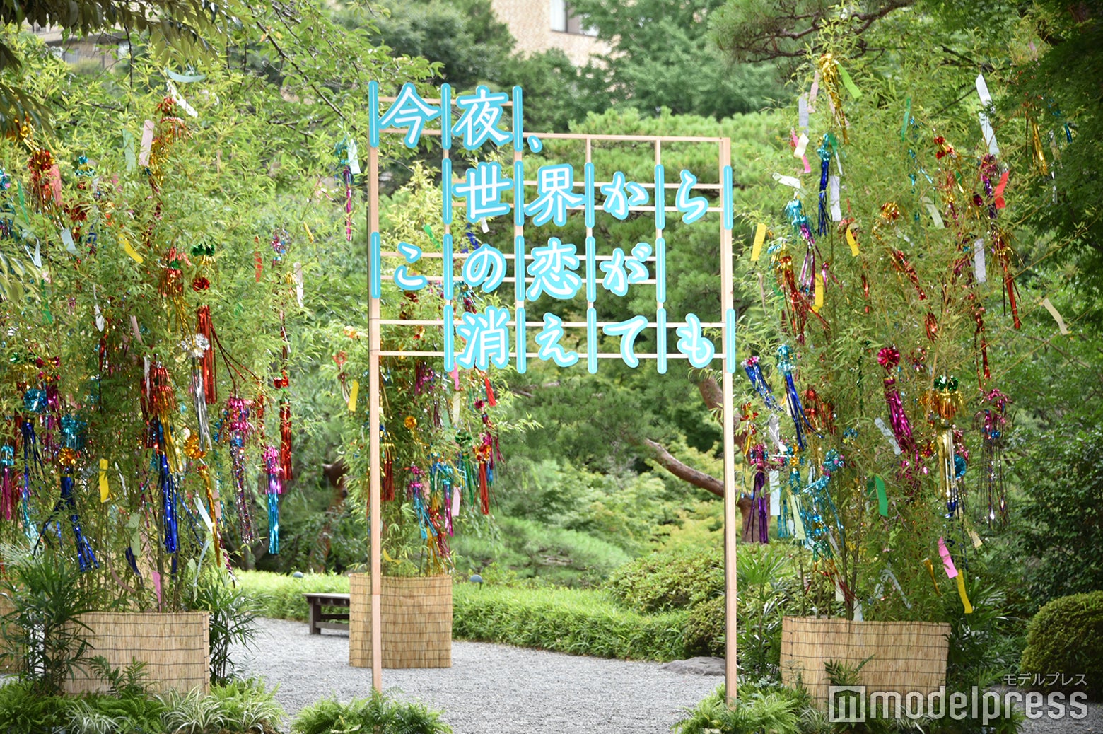 『今夜、世界からこの恋が消えても』七夕願いごとイベント（C）モデルプレス