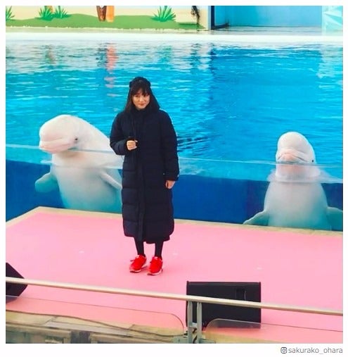 大原櫻子、シロイルカ従えリハーサル「なんだこの可愛い世界は」「究極の癒やし」ファン悶絶