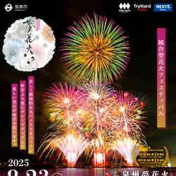 泉州夢花火/提供画像