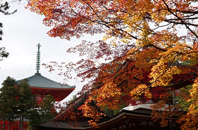 地元の人が教える“穴場”も♡