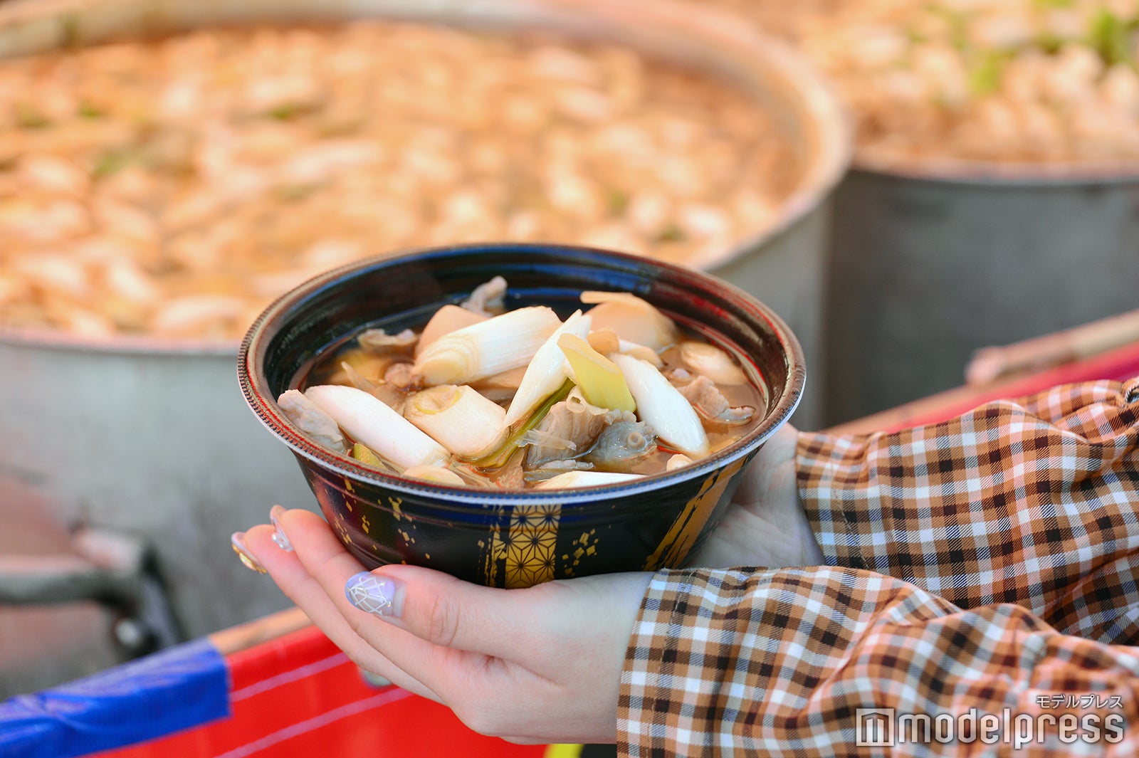 ご当地鍋フェスティバル（C）モデルプレス