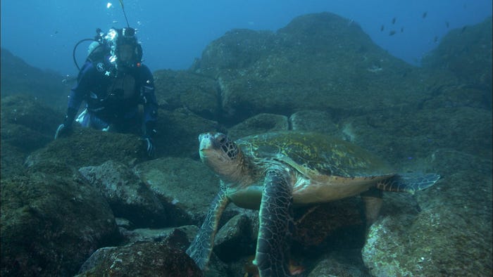 羽鳥慎一 (C)日本テレビ