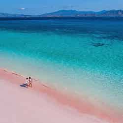 ピンク色の砂浜が広がるピンクビーチ(提供写真)