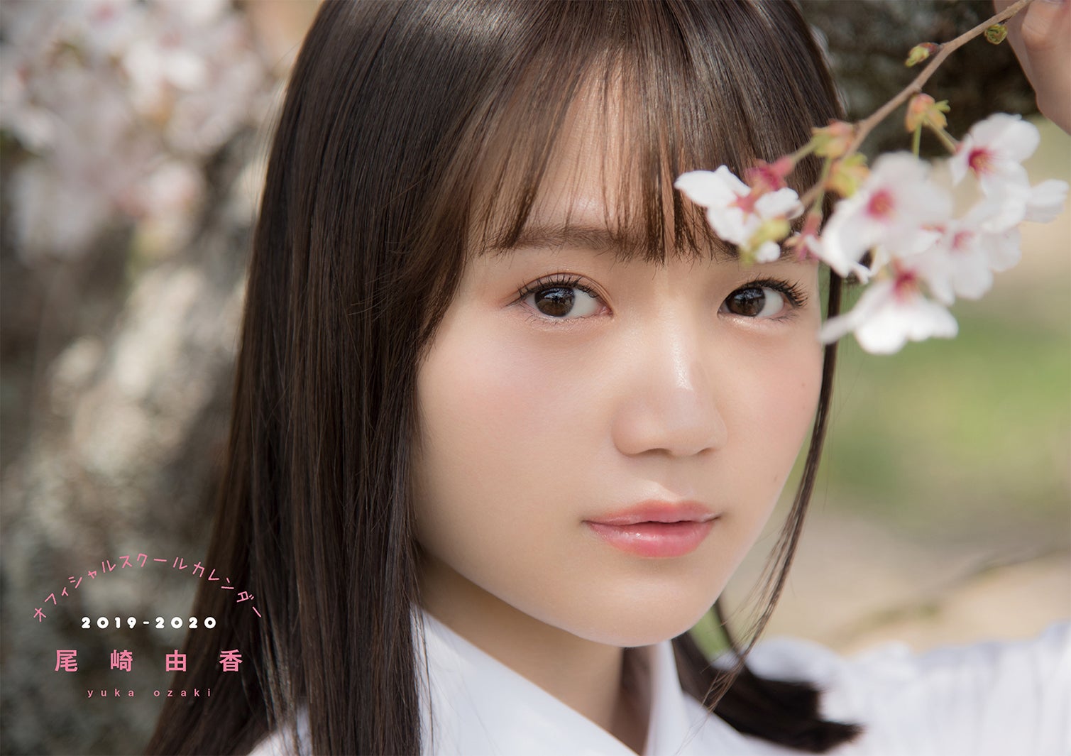 「尾崎由香 オフィシャルスクールカレンダー」（C）中村和孝／小学館・週刊ビッグコミックスピリッツ