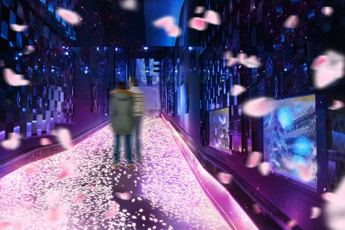 すみだ水族館「桜とクラゲ」の体感型展示、春の雰囲気に包まれる新しい花見／画像提供：オリックス株式会社