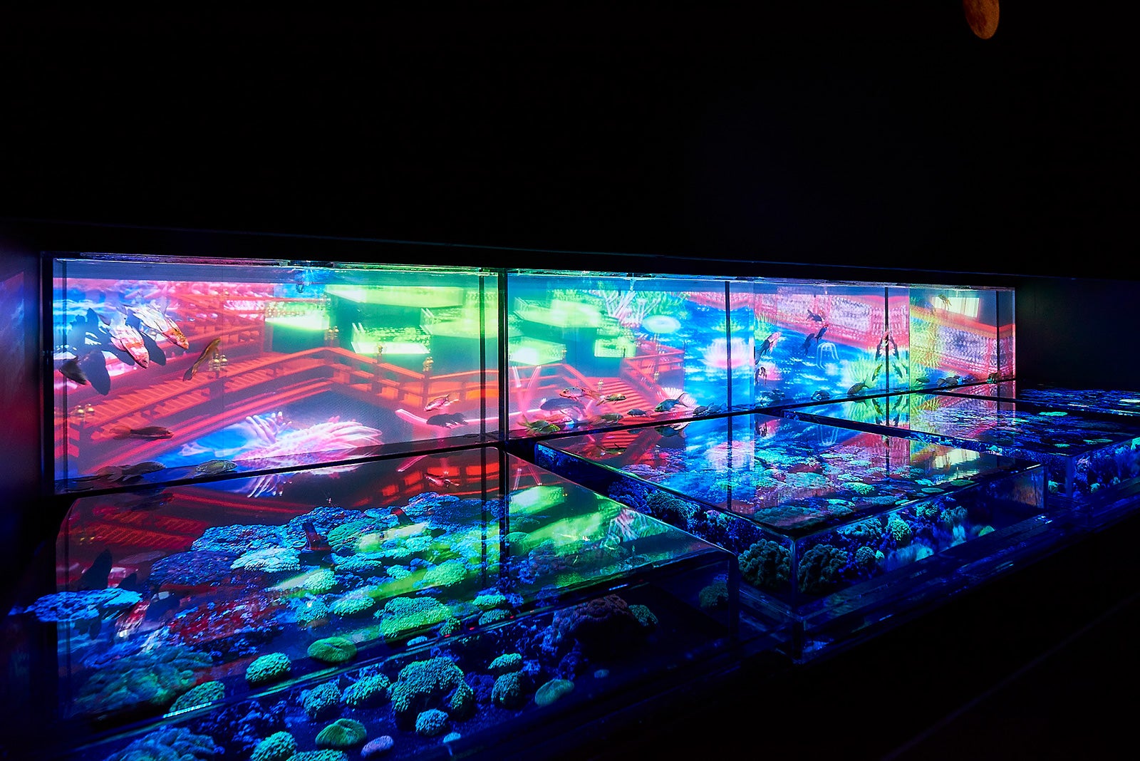 龍宮四季絵巻／画像提供：アートアクアリウム