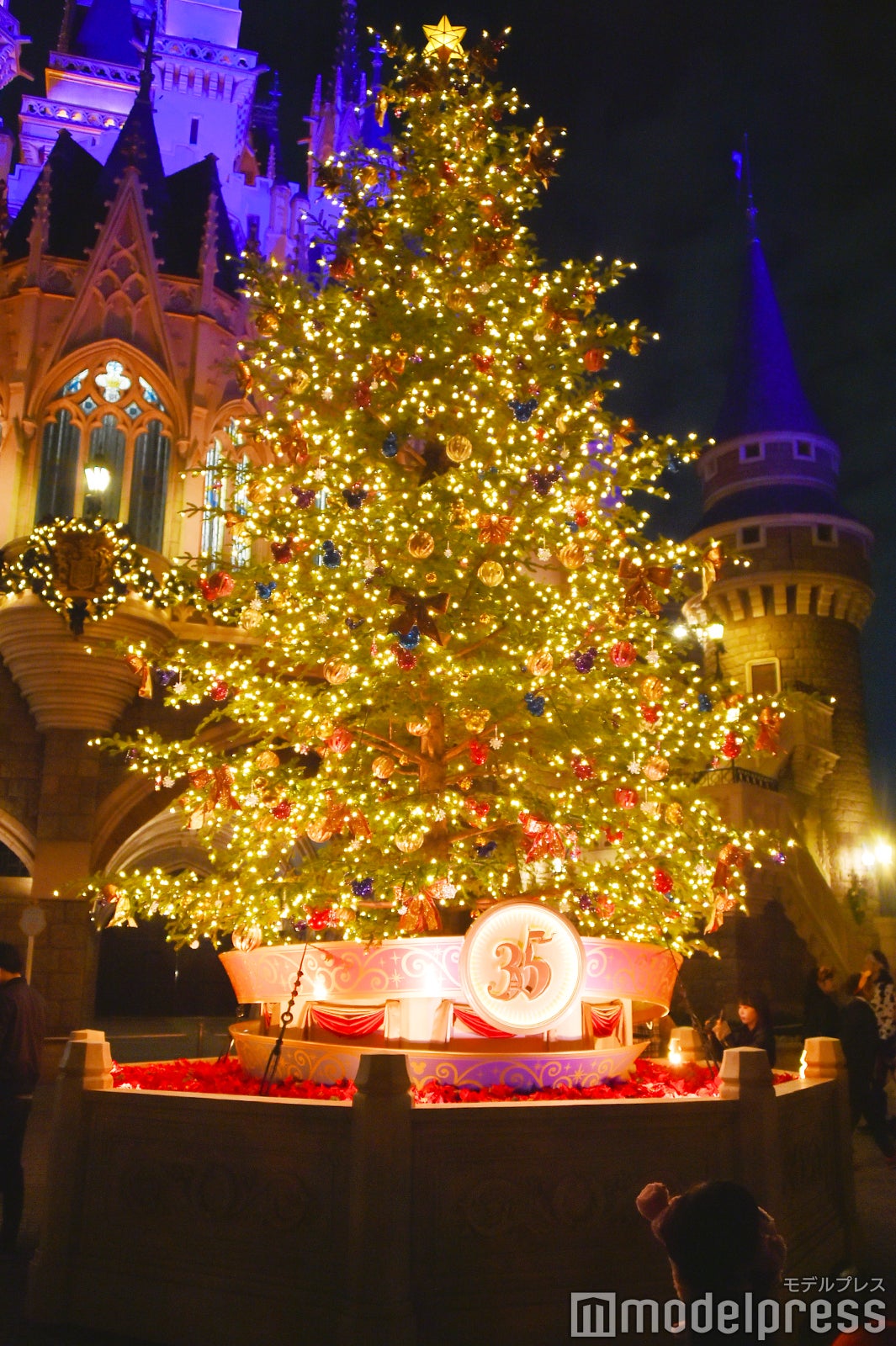 ディズニー クリスマス開幕 Tdl セレブレーションストリート 期間限定バージョンに シンデレラ城裏には生木ツリー モデルプレス