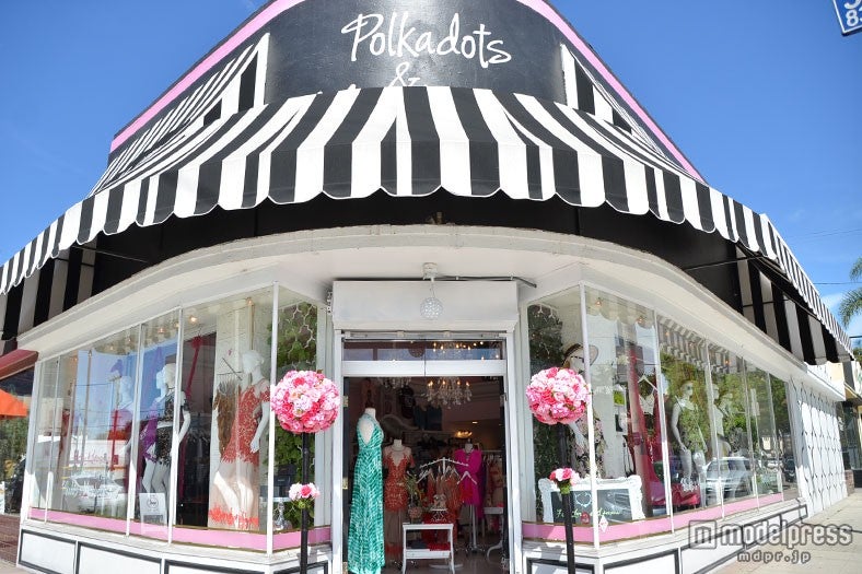 「Polkadots＆Moonbeams（ポルカドッツ アンド ムーンビームス）」