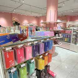 fanfancy+ with GiGO/提供画像