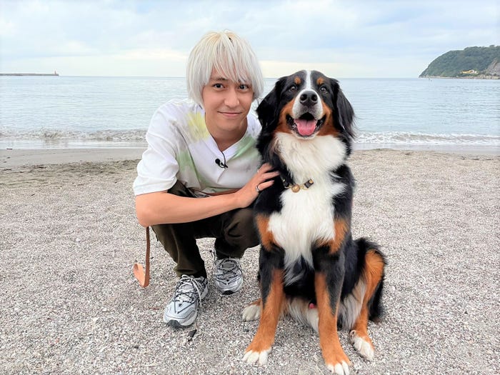 八乙女光(C)日本テレビ