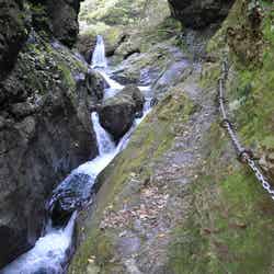 神秘的なパワースポットを自分の足で歩いてみよう(提供画像)