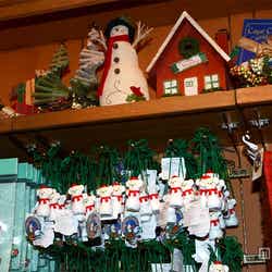 東京ディズニーシー