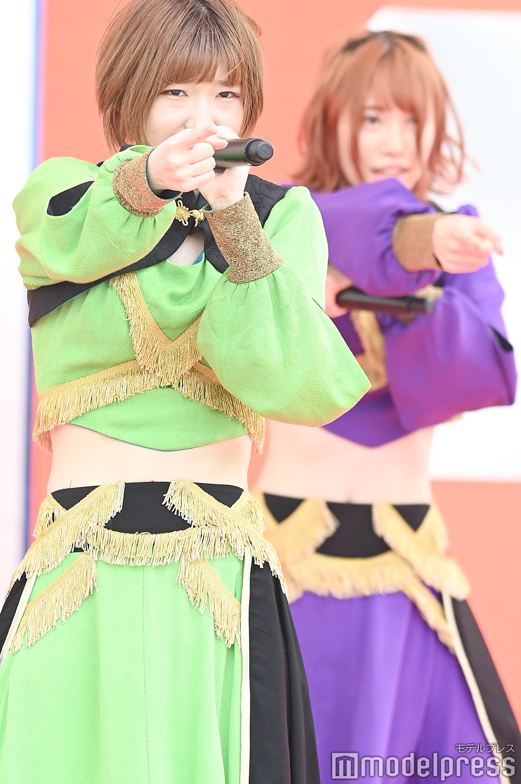 豆柴の大群（C）モデルプレス