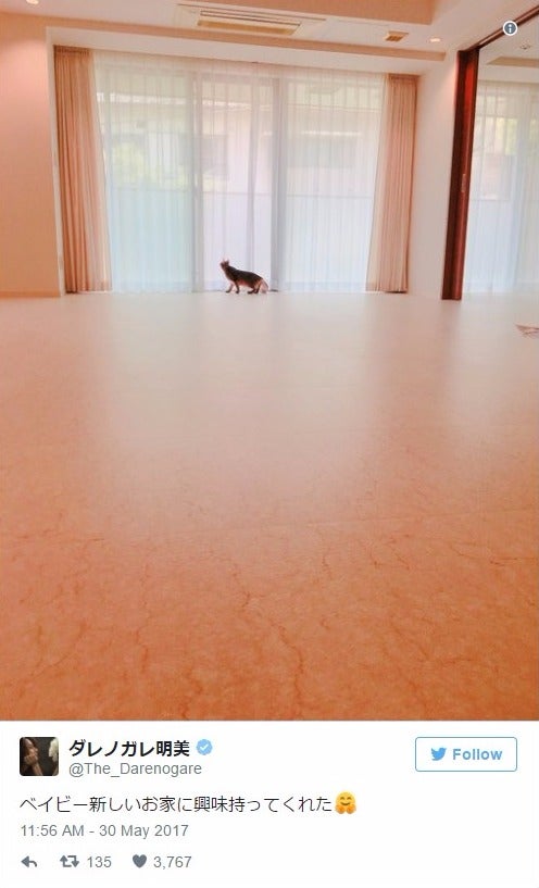 ダレノガレ明美、新居を公開 「めっちゃ広い」「走り回れる」と羨望の声