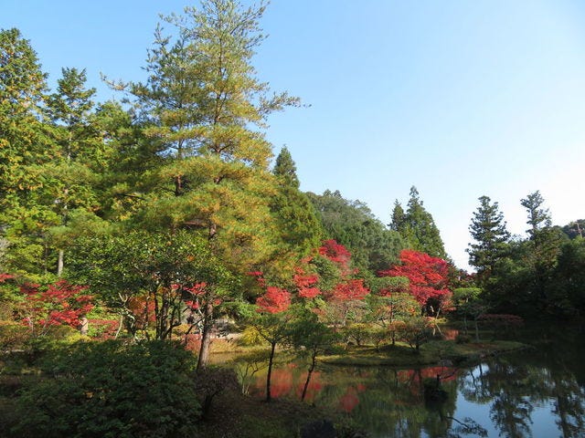 見事な紅葉に感動…♡