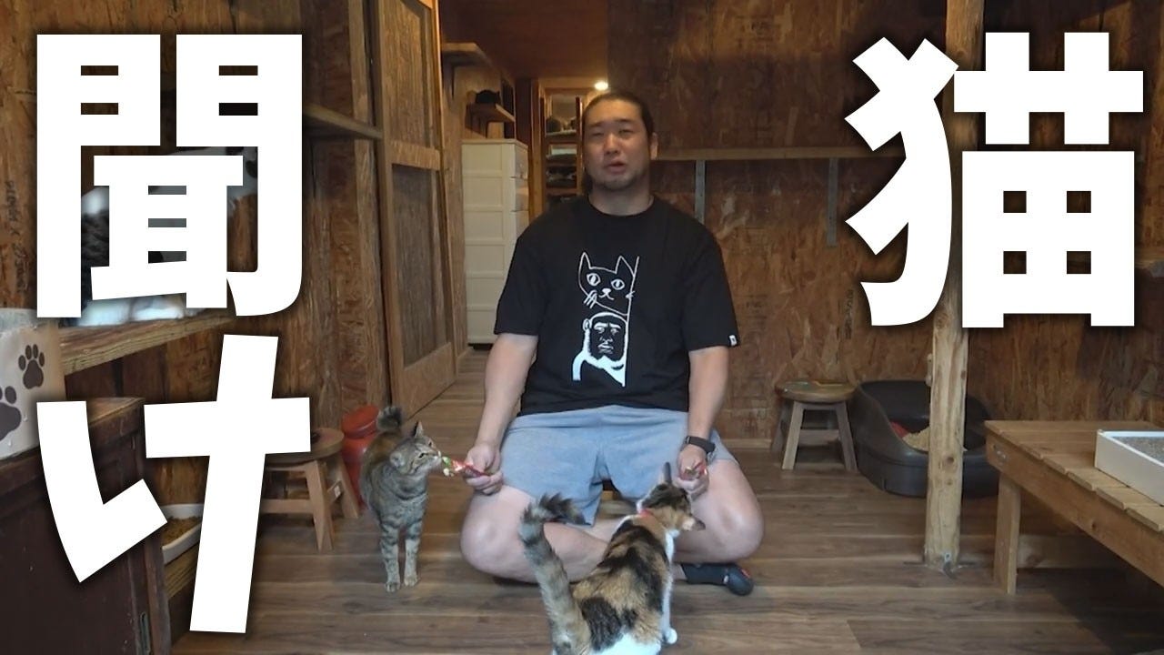 今回のシバターは「かわいい猫ちゃんを救いたい」