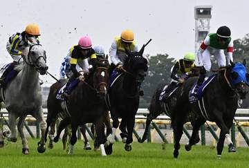 安田記念を制したシックスペンス、チャンピオンズマイル12着のシュトラウスは状態次第で仏G1ジャックルマロワ賞を目指す