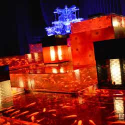 「『ECO EDO 日本橋』ダイナースクラブ アートアクアリウム2013~江戸・金魚の涼~」