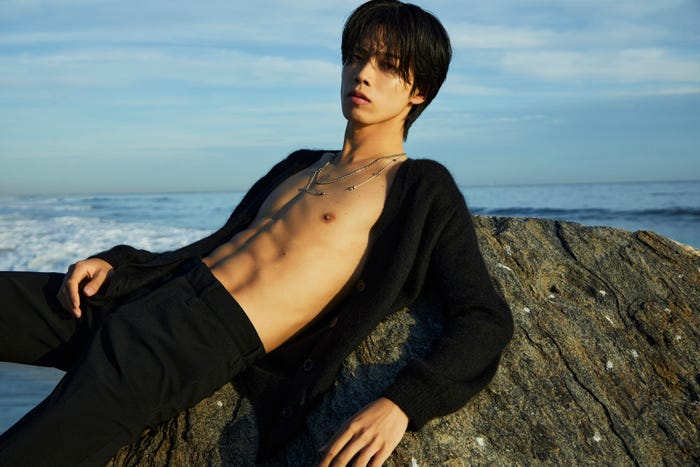 やまと(提供写真)