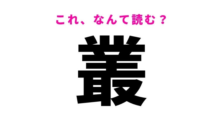 【叢】はなんて読む？ひらがな4文字の難読漢字