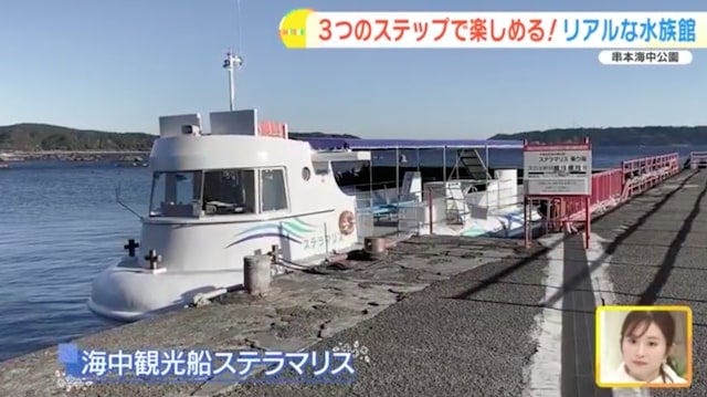 【和歌山】距離、ちかっ！大人も子どもも楽しめる「リアルな水族館」