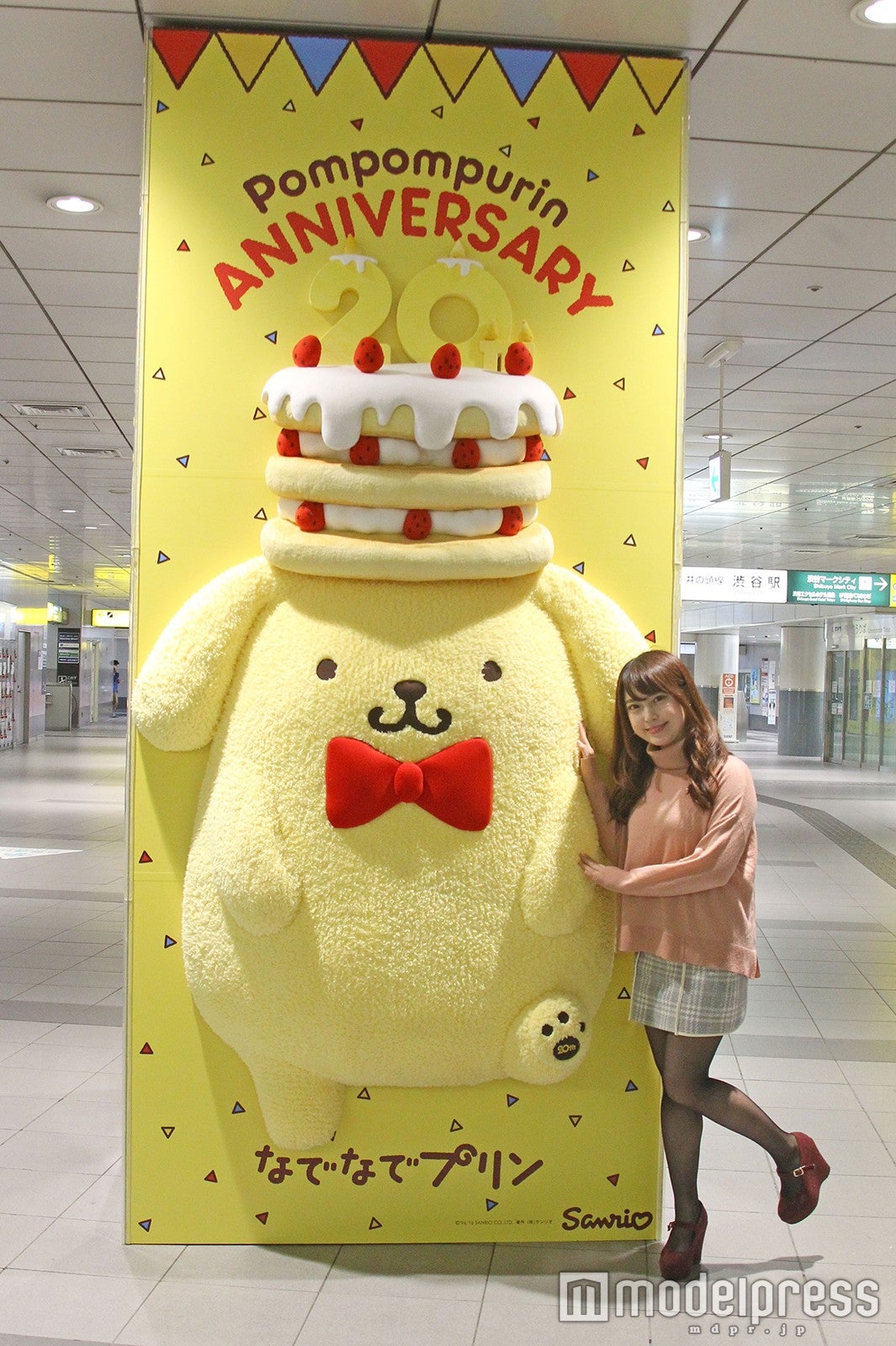 ／画像提供：ポムポムプリン20周年PR事務局