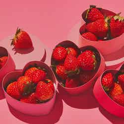 ストロベリーアフタヌーンスイーツビュッフェ ~ときめきいちご狩り~/提供画像