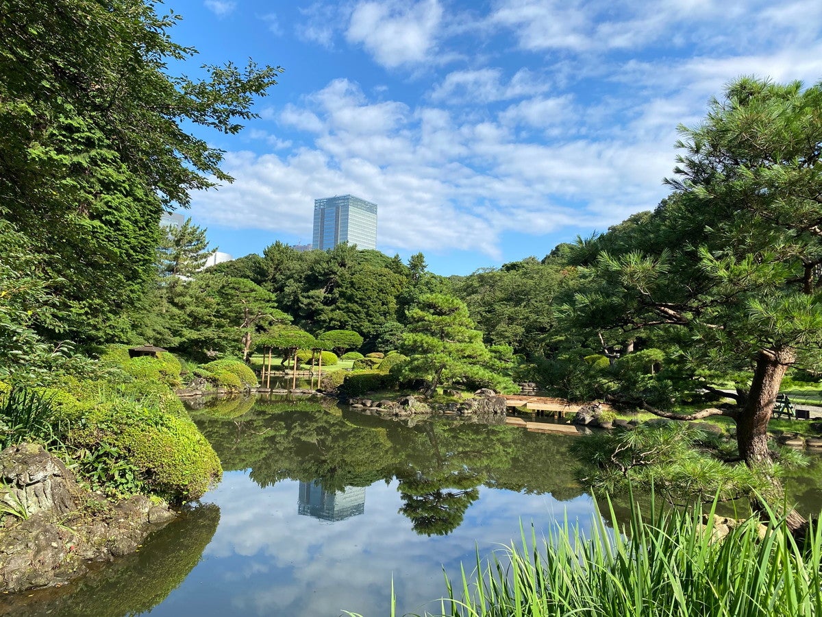 新宿御苑／画像提供：環境省新宿御苑管理事務所