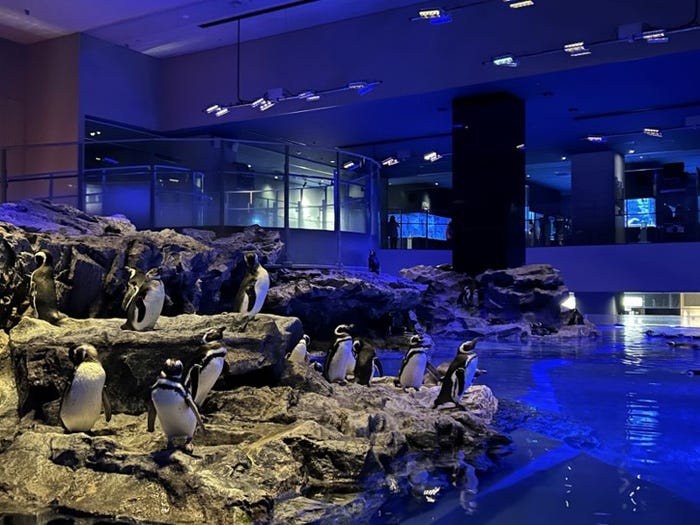 「すみだ水族館」(提供写真)