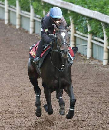 【ヴィクトリアM】クイーンズウォーク仕上がり万全 初コンビ西村淳「改めていい馬だなと」 中内田師「状態は安定」