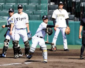 阪神・坂本 CSファイナルS突破へ3つのポイントとは？主将＆女房役目線でDeNA分析 直近2度のファイナルSは条件クリア