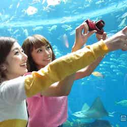 とっておきの瞬間を大切にしよう/キヤノンの「PowerShot SX600 HS」で撮影