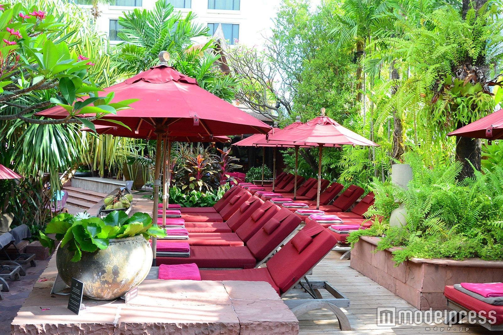 屋外プール（C）モデルプレス