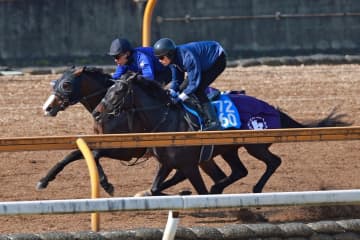 【小倉大賞典】センツブラッド 3頭併せ最先着 斉藤崇師も期待「いい内容だった」