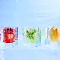 アイスヴィレッジ/提供画像