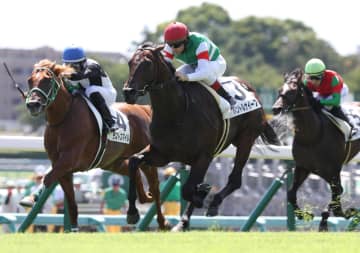 【弥生賞】パントルナイーフ 強めに併せた 「馬体のアンバランスさ、日ごとに改善」