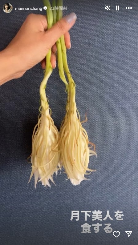 前田典子Instagramストーリーズより