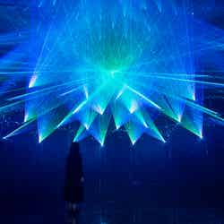 teamLab Massless Beijing/画像提供:チームラボ